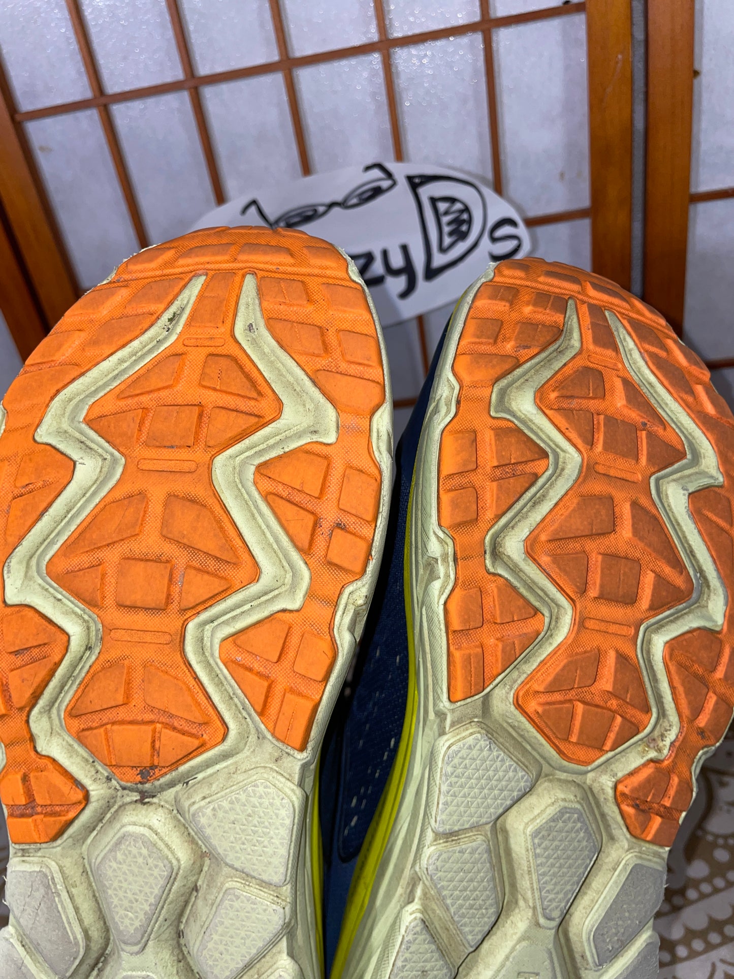 Blueberry Lime Hoka Challenger Size 12