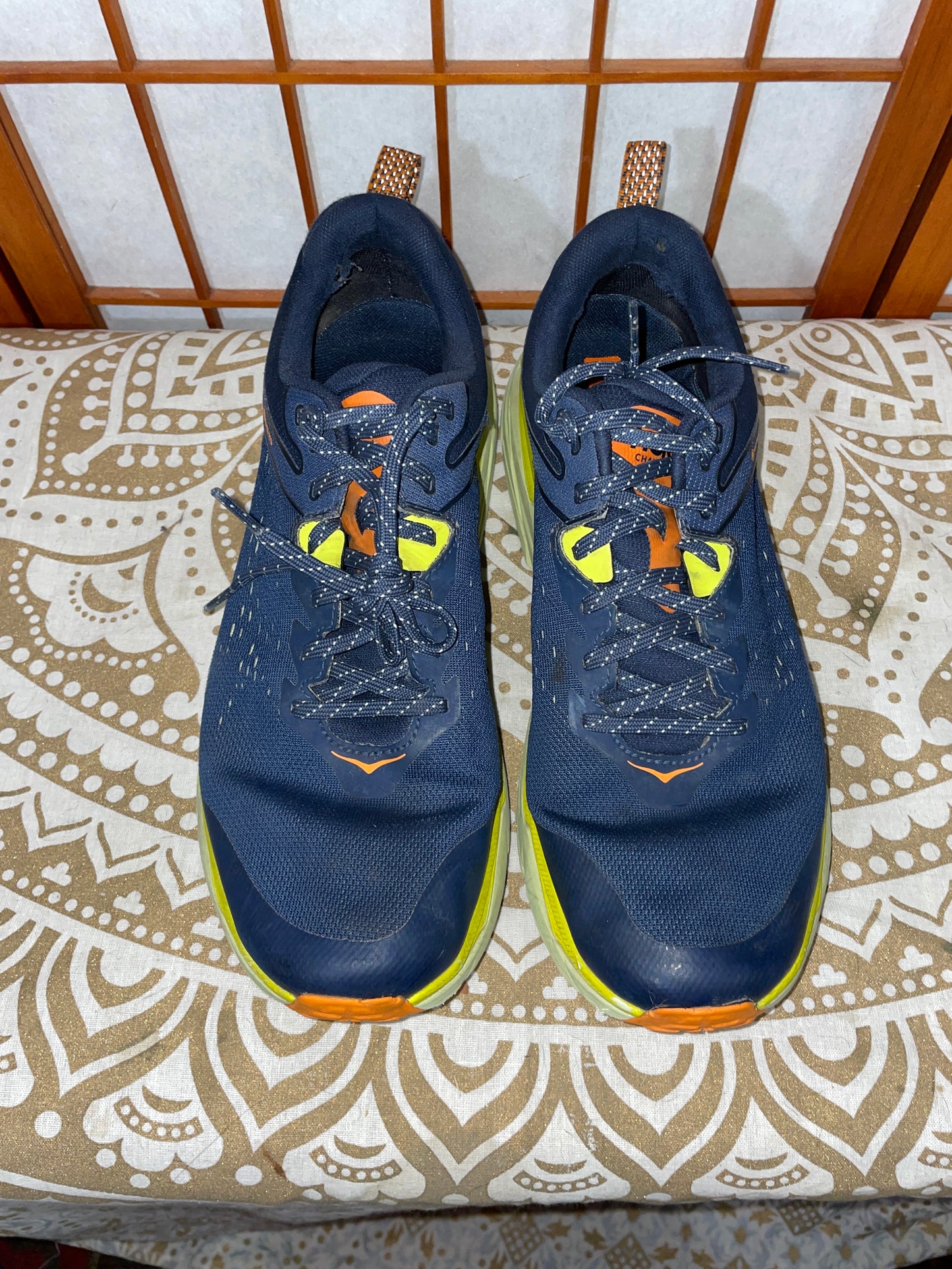 Blueberry Lime Hoka Challenger Size 12