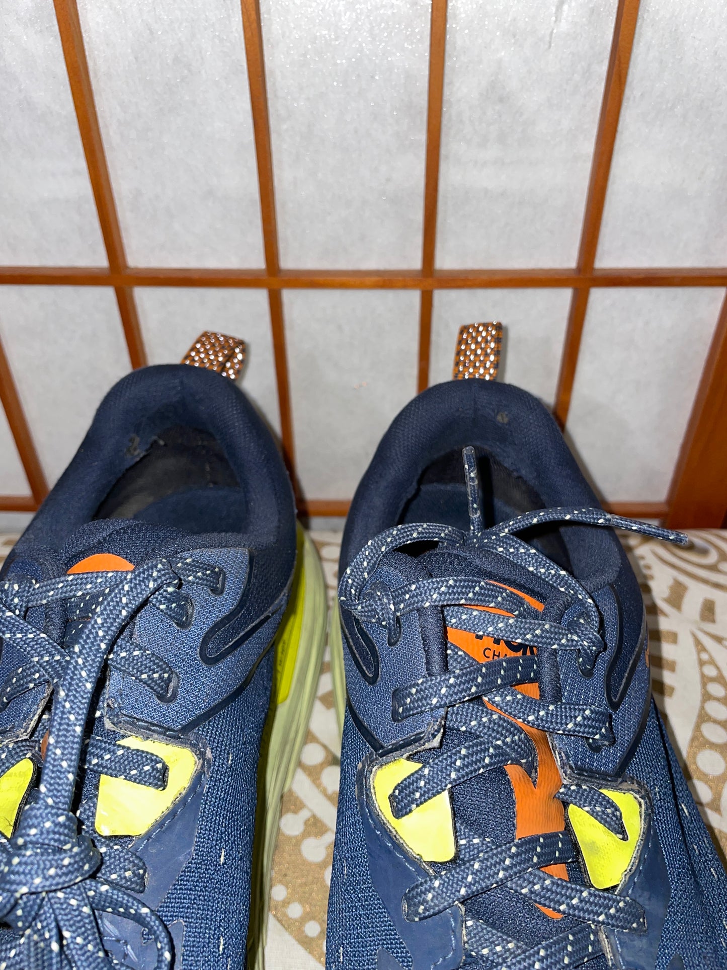 Blueberry Lime Hoka Challenger Size 12