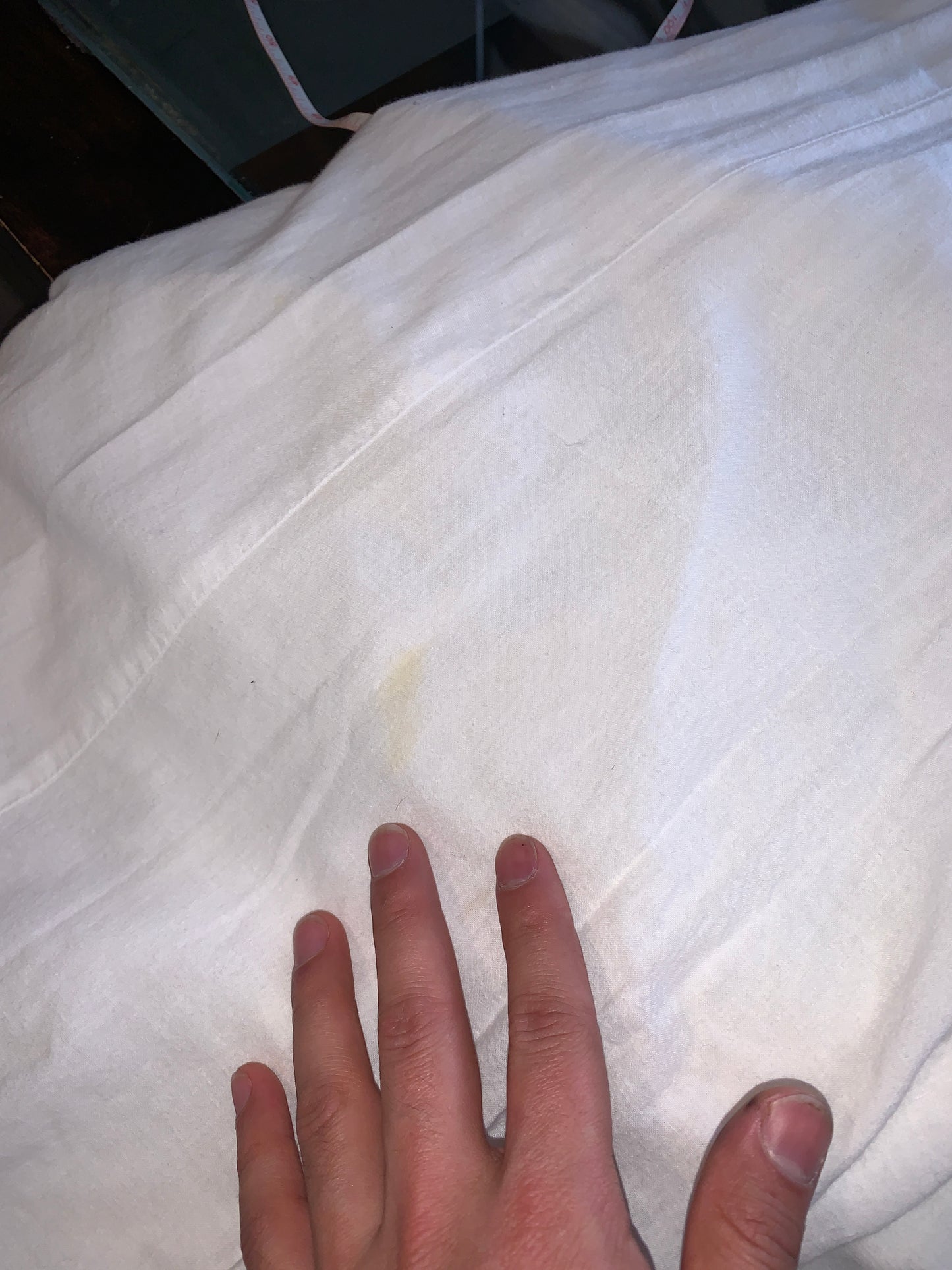 Icing on a Cake, Embroidered Dress