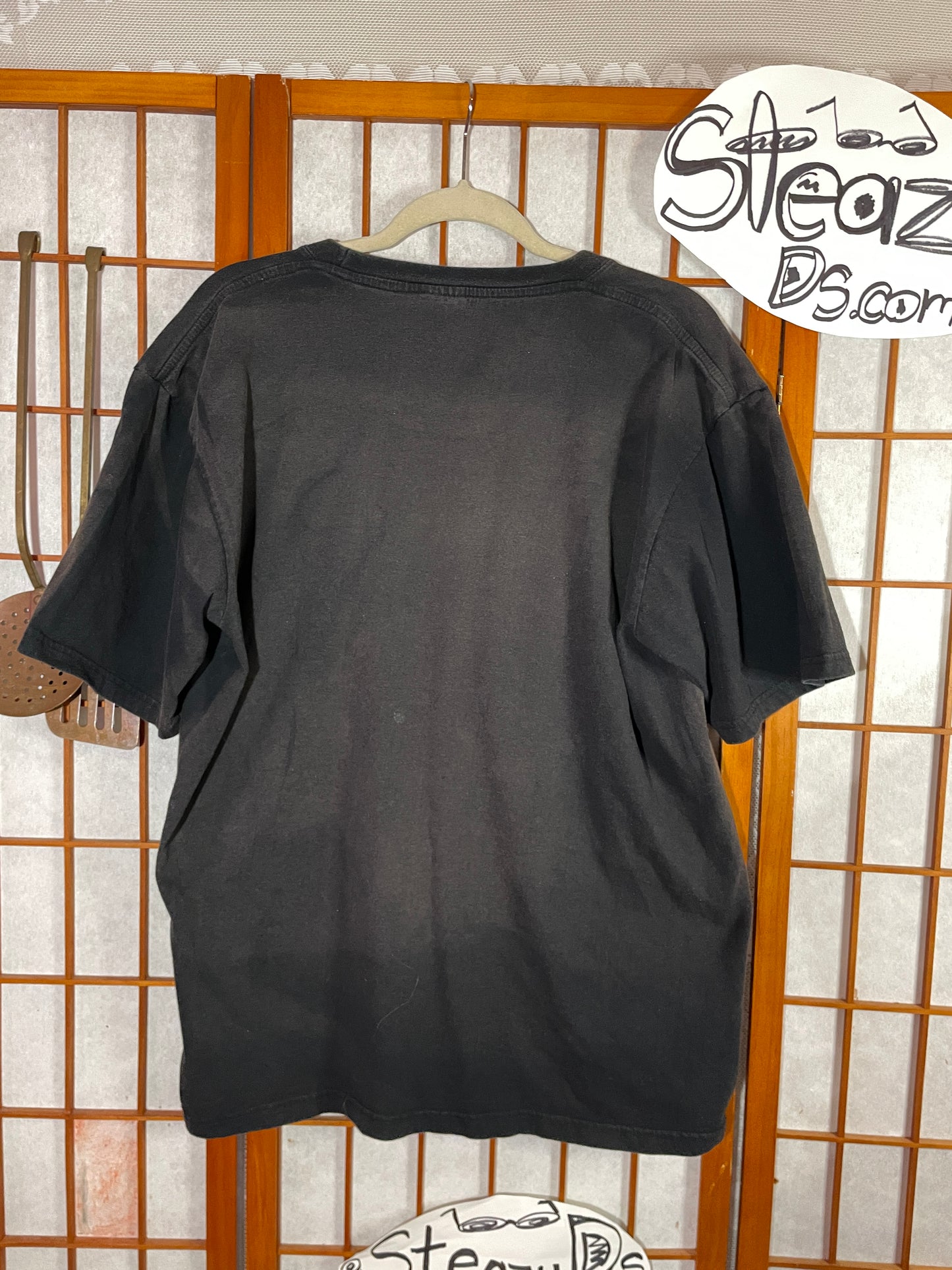 Taijiquan (Tai Chi) is STEAZY, distressed T