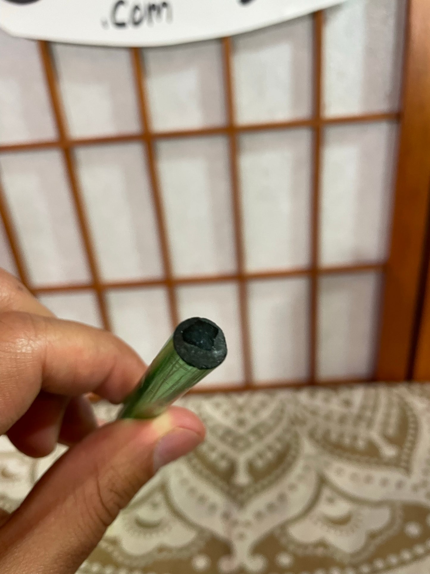 Glassed Up Yellow Tulip