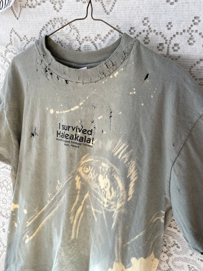 Haleakala Chewed me out T Shirt