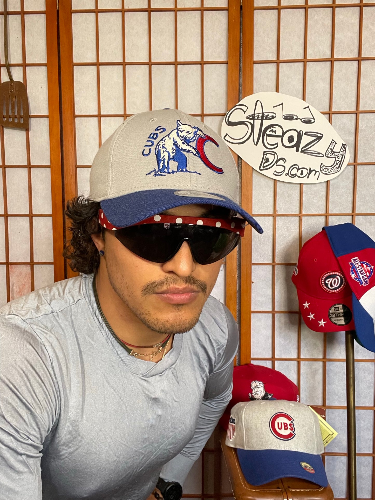 Chicago Cubs Gray Bear Hat