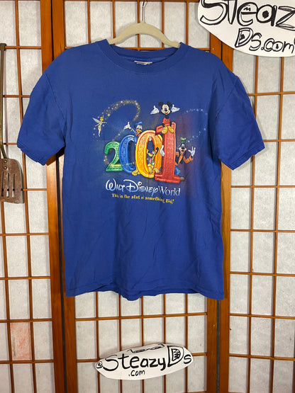 Disney Shirt Sun Faded T Shirt Small Vintage World