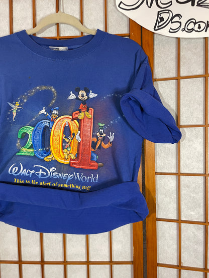 Disney Shirt Sun Faded T Shirt Small Vintage World