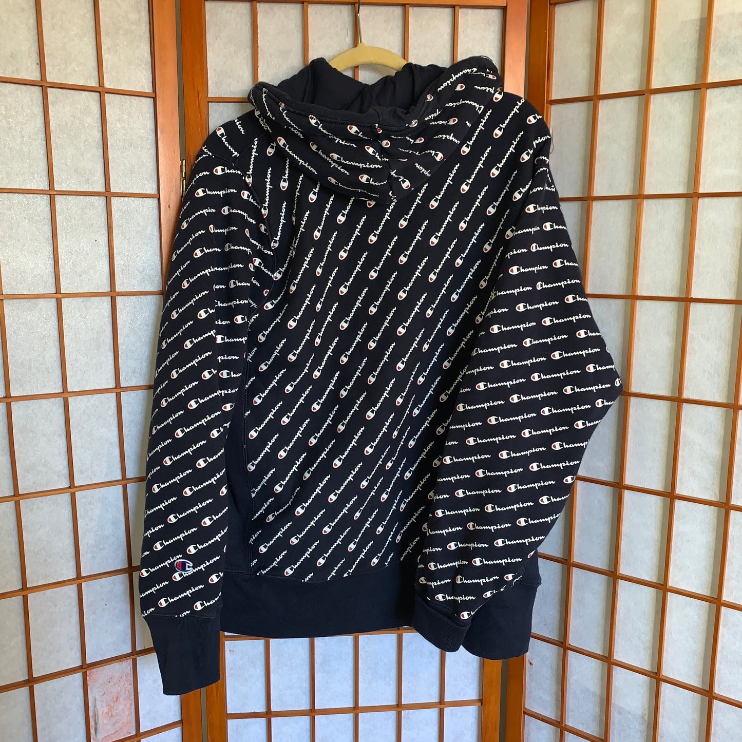 Reverse Weave Hoodie Champion